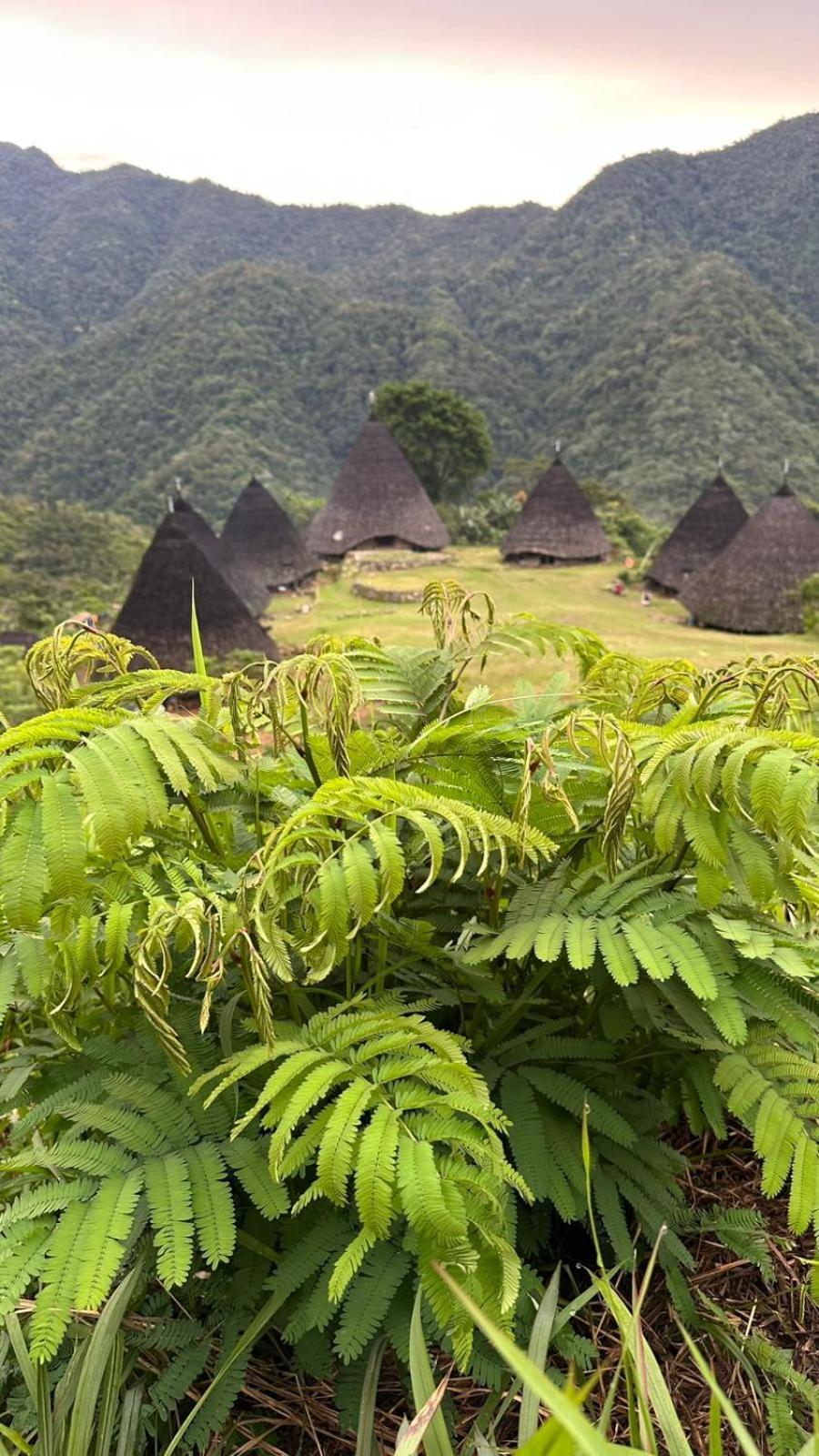D'Flora Homestay Labuan Bajo Exterior foto
